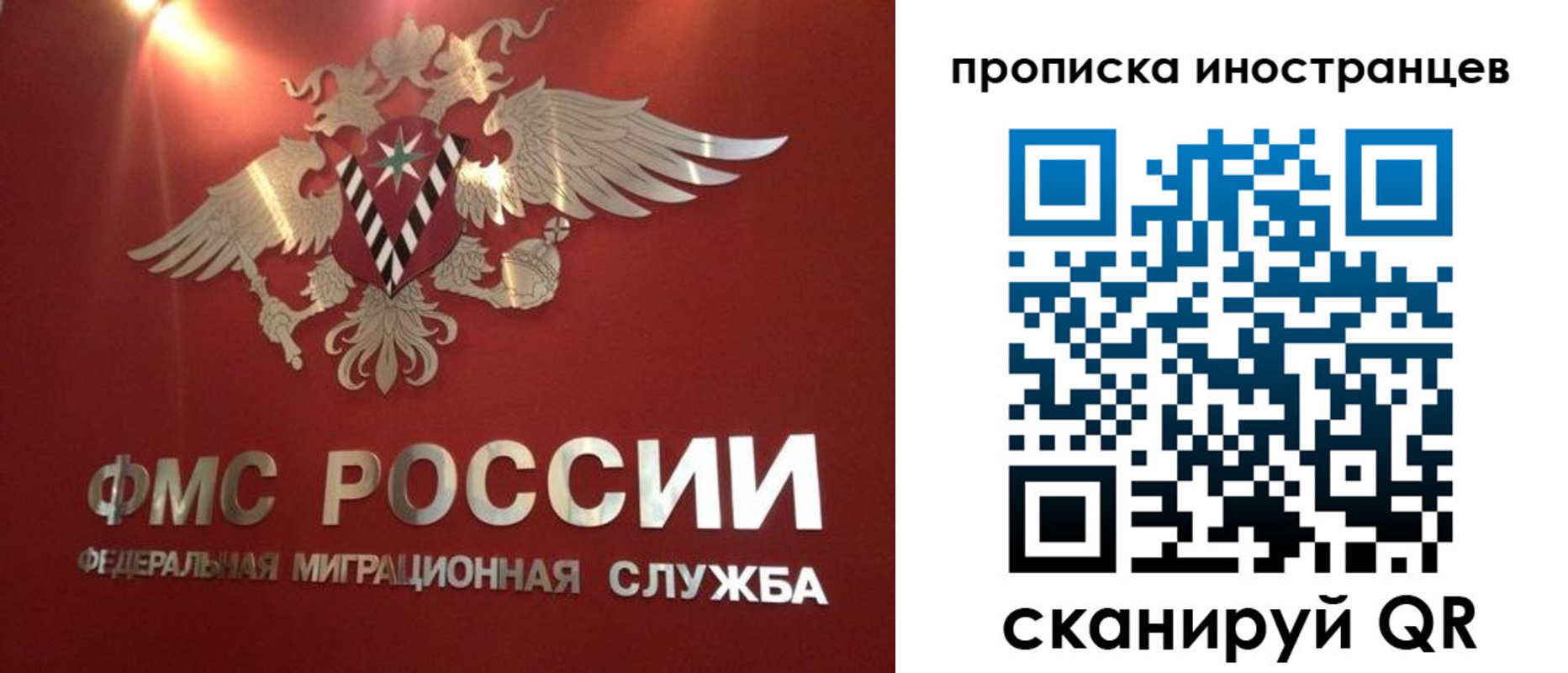 где прописаться в Дмитрове